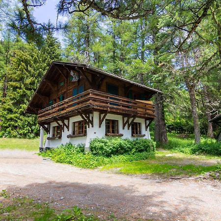 שאמוני Chalet Ecureuil - Happy Rentals מראה חיצוני תמונה